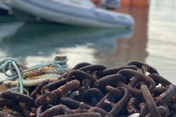 Caraïbes Docks Services_Caraïbes Factory (3)